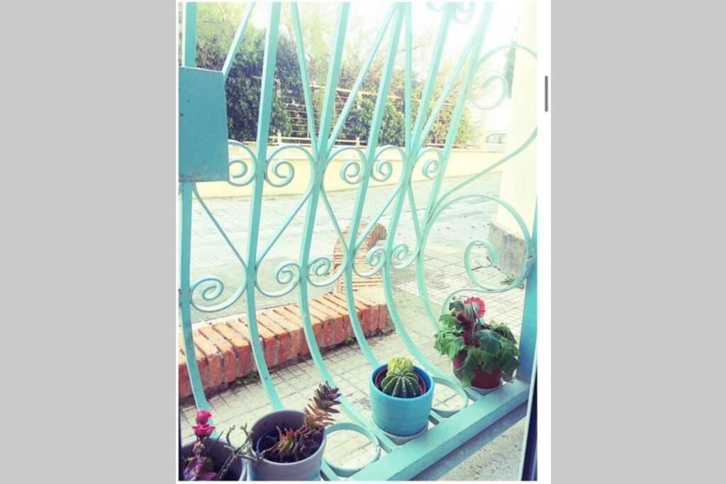 Cosy Studio Flat On The Seaside Apartment Lido di Ostia Luaran gambar